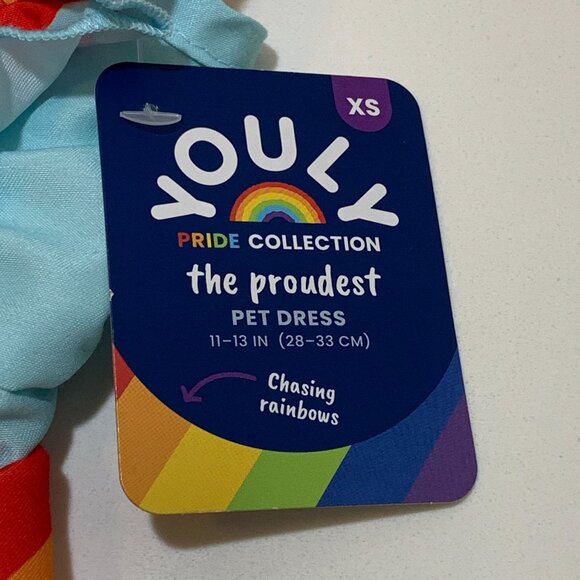 Youly Pride Collection XS Pet Dress Light Blue Rainbow Design Bow Tie Accent - Picture 3 of 4